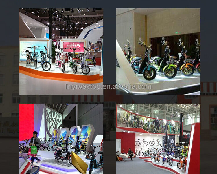 Factory 3 Wheel Electric Bike 600W 48V Electric Tricycles for Adults