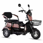Factory 3 Wheel Electric Bike 600W 48V Electric Tricycles for Adults - image 2