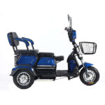 Factory 3 Wheel Electric Bike 600W 48V Electric Tricycles for Adults - image 6