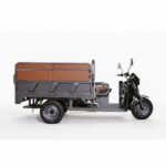 Factory Adult Open Body Electric Trike Dual Use Electric Tricycle 3 Wheeler for Passenger and Cargo Transport - image 3