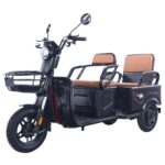 Factory Best New Product <200w High-Power Two Axle Electric Tricycle Open for Winery Cargo Transportation 200-300kg Payload - image 2
