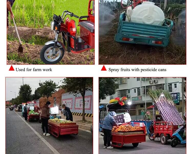Factory Customized Electric Truck Household Adult Cargo Motorcycle Closed 4 Doors Spacious Electric Tricycles Agricultural Trike