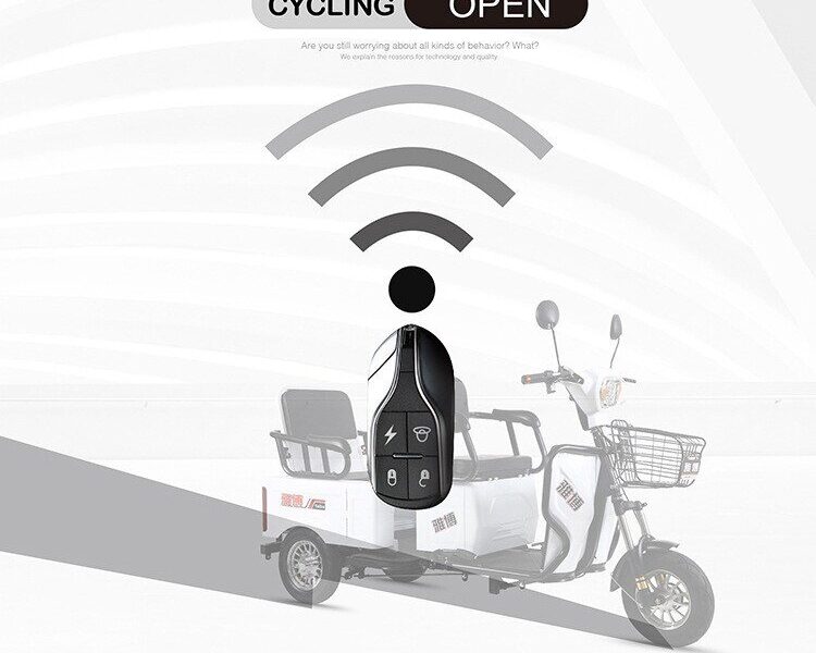 Factory Direct 1000W 72V 300kg Load Carbon Steel Cargo & Passenger Dual-use Electric Tricycle for Elderly Pick-up & Mobility