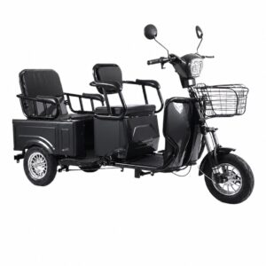 Factory Direct 1000W 72V 300kg Load Carbon Steel Cargo & Passenger Dual-use Electric Tricycle for Elderly Pick-up & Mobility