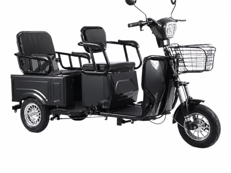 Factory Direct 1000W 72V 300kg Load Carbon Steel Cargo & Passenger Dual-use Electric Tricycle for Elderly Pick-up & Mobility