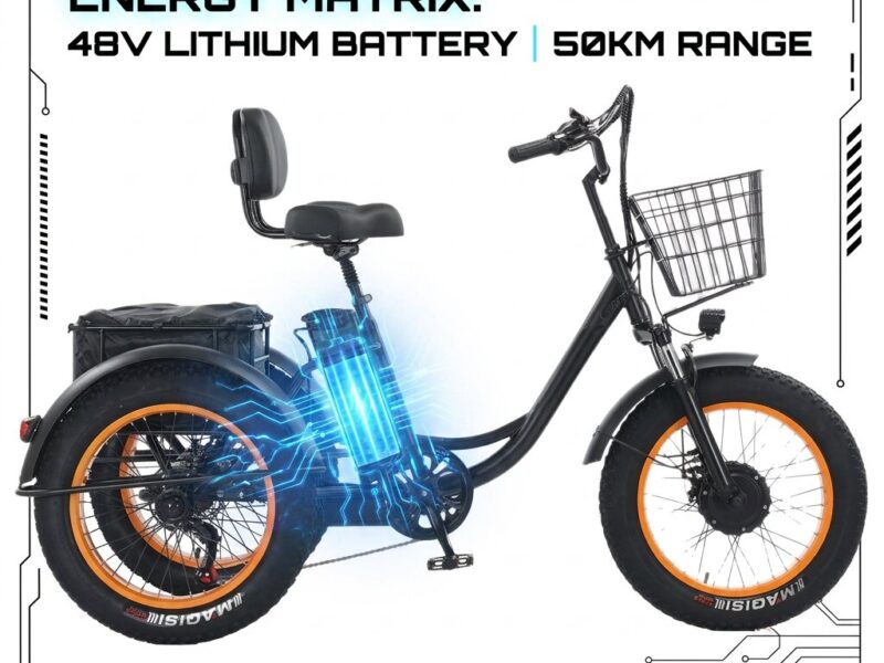 Factory Direct 48V 500W All-Terrain Dual Basket Steel Pedal Assist 20 Inch Fat Tire Electric Tricycle for Cargo Delivery