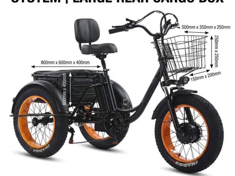 Factory Direct 48V 500W All-Terrain Dual Basket Steel Pedal Assist 20 Inch Fat Tire Electric Tricycle for Cargo Delivery