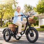 Factory Direct 48V 500W All-Terrain Dual Basket Steel Pedal Assist 20 Inch Fat Tire Electric Tricycle for Cargo Delivery - image 6