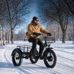 Factory Direct 48V 500W All-Terrain Dual Basket Steel Pedal Assist 20 Inch Fat Tire Electric Tricycle for Cargo Delivery - image 8