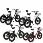 Factory Direct 48V 500W All-Terrain Dual Basket Steel Pedal Assist 20 Inch Fat Tire Electric Tricycle for Cargo Delivery - image 10