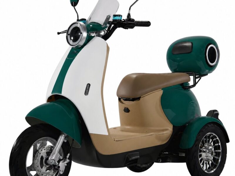 Hot Sale 60V 1000W Electric Tricycle for Adults Three-Wheel Electric Bike