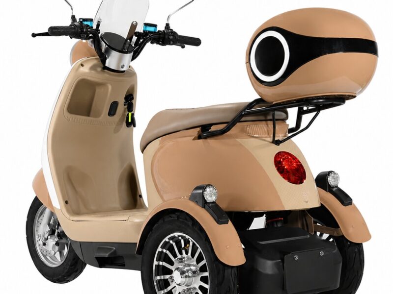 Hot Sale 60V 1000W Electric Tricycle for Adults Three-Wheel Electric Bike
