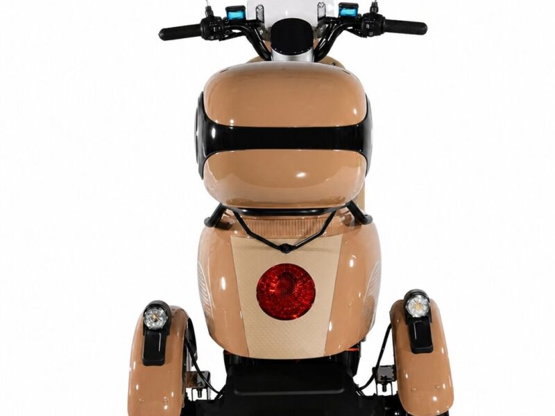 Hot Sale 60V 1000W Electric Tricycle for Adults Three-Wheel Electric Bike
