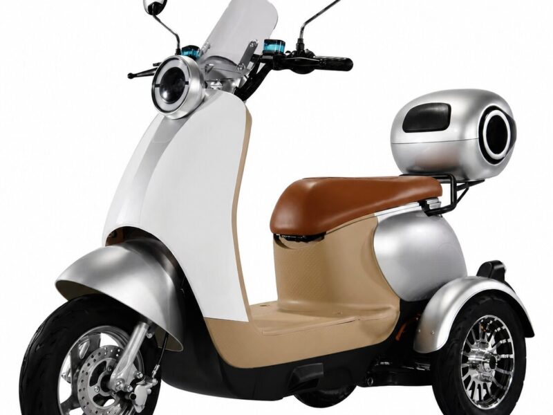 Factory Direct 60V 1000W Electric Tricycle for Adults 1000W Three-Wheel Electric Scooter Bike Motor High Power Electric Scooter