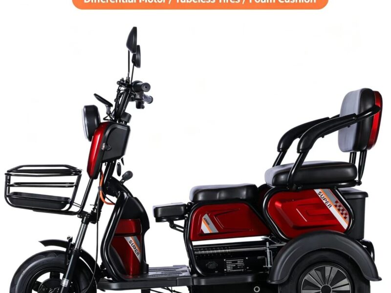 Factory-Direct: Dual-Purpose Electric Tricycle Two-Seater Personal Mobility Vehicle for Both Children and Adults