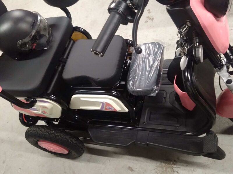 Factory-Direct: Dual-Purpose Electric Tricycle Two-Seater Personal Mobility Vehicle for Both Children and Adults