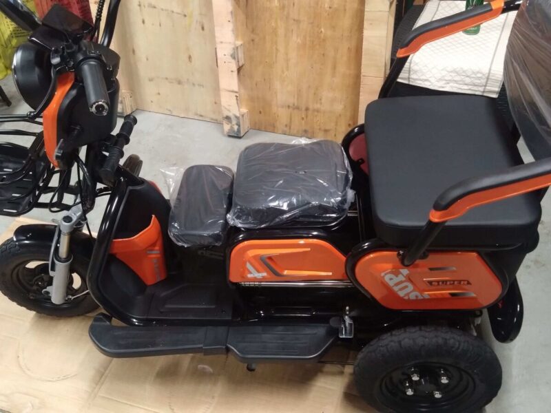 Factory-Direct: Dual-Purpose Electric Tricycle Two-Seater Personal Mobility Vehicle for Both Children and Adults