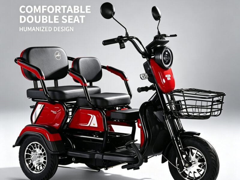 Factory-Direct: Dual-Purpose Electric Tricycle Two-Seater Personal Mobility Vehicle for Both Children and Adults