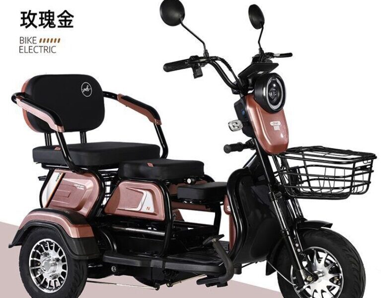 Factory-Direct: Dual-Purpose Electric Tricycle Two-Seater Personal Mobility Vehicle for Both Children and Adults
