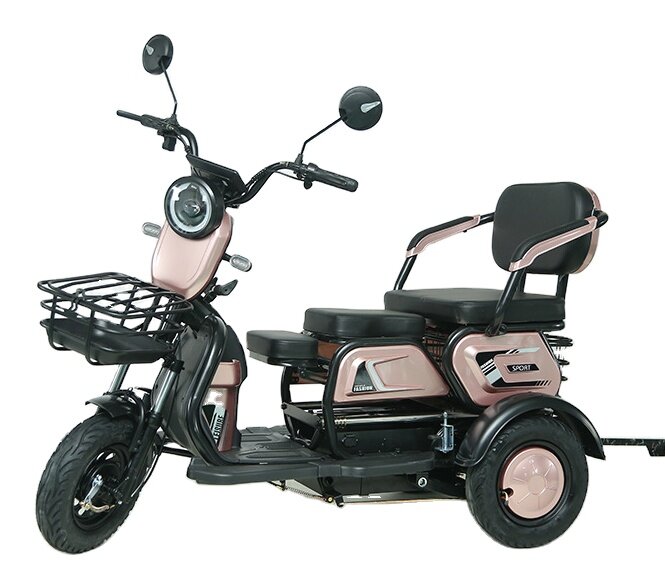 Factory-Direct: Dual-Purpose Electric Tricycle Two-Seater Personal Mobility Vehicle for Both Children and Adults