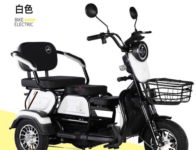 Factory-Direct: Dual-Purpose Electric Tricycle Two-Seater Personal Mobility Vehicle for Both Children and Adults