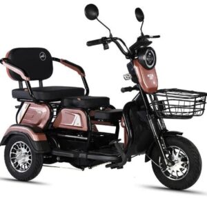 Factory-Direct: Dual-Purpose Electric Tricycle Two-Seater Personal Mobility Vehicle for Both Children and Adults