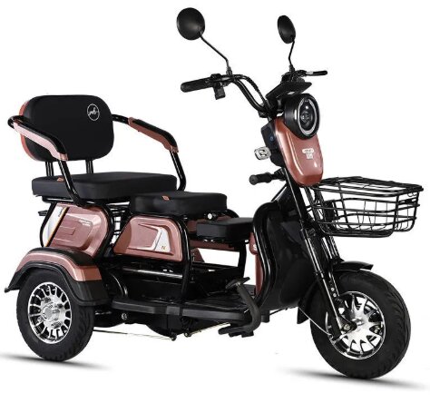 Factory-Direct: Dual-Purpose Electric Tricycle Two-Seater Personal Mobility Vehicle for Both Children and Adults