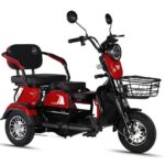 Factory-Direct: Dual-Purpose Electric Tricycle Two-Seater Personal Mobility Vehicle for Both Children and Adults - image 2