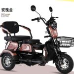 Factory-Direct: Dual-Purpose Electric Tricycle Two-Seater Personal Mobility Vehicle for Both Children and Adults - image 3