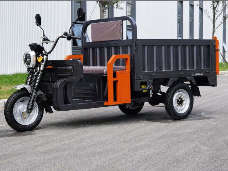 2026 New 1000W Home-use Electric Tricycle/Electric Bicycle