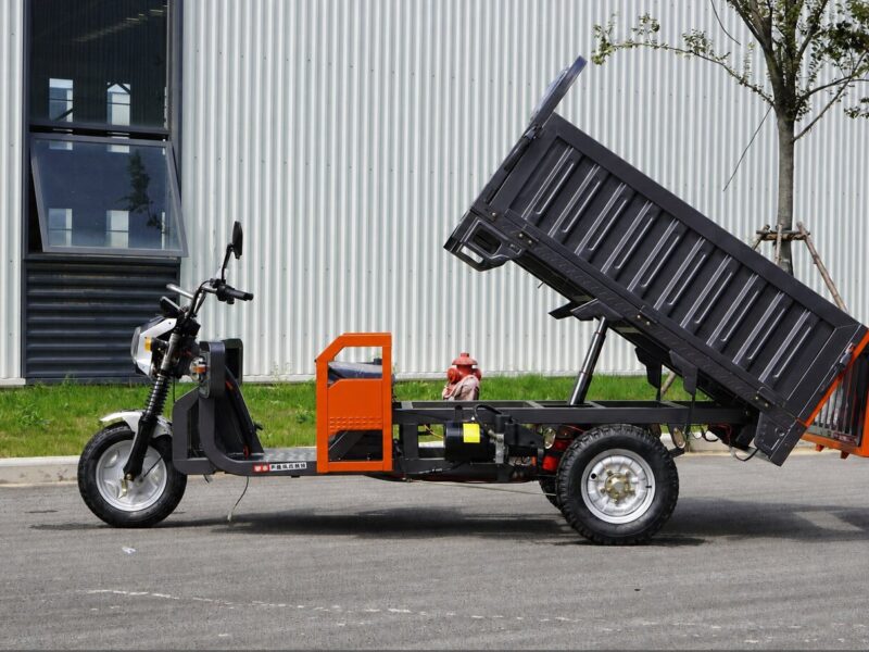 2026 New 1000W Home-use Electric Tricycle/Electric Bicycle