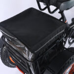Factory Direct Tie Recumbent Fat Two Front Wheels Trike Electric With Price - image 4