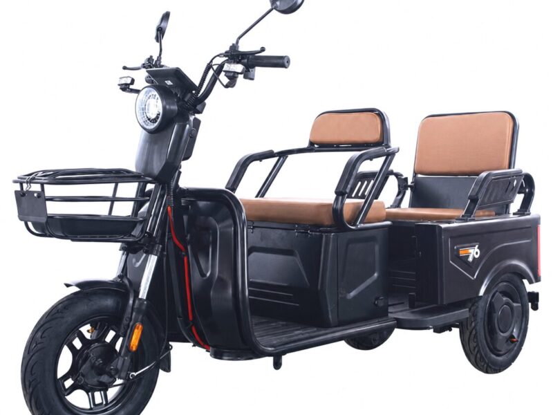Factory Electric Tricycle Three Wheels Electric City Bike High Speed Powerful Mini Truck Double Seat 60V 20A 1000W