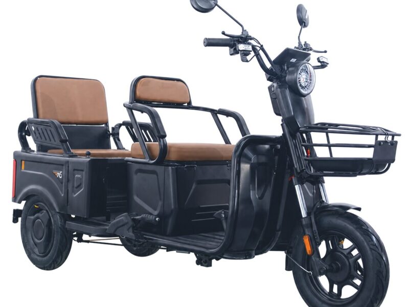 Factory Electric Tricycle Three Wheels Electric City Bike High Speed Powerful Mini Truck Double Seat 60V 20A 1000W
