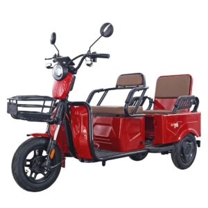 Factory Electric Tricycle Three Wheels Electric City Bike High Speed Powerful Mini Truck Double Seat 60V 20A 1000W