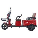 Factory Electric Tricycle Three Wheels Electric City Bike High Speed Powerful Mini Truck Double Seat 60V 20A 1000W - image 2