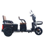 Factory Electric Tricycle Three Wheels Electric City Bike High Speed Powerful Mini Truck Double Seat 60V 20A 1000W - image 3
