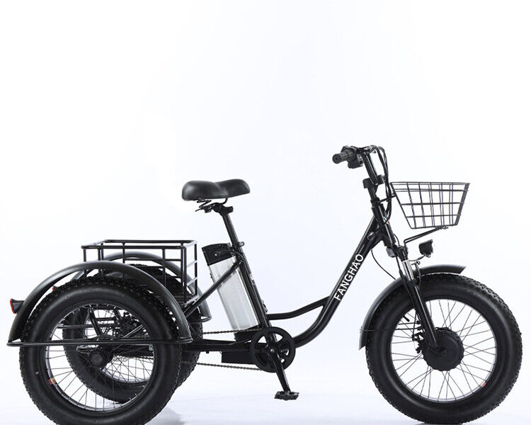Factory Price 20 Inch 48v Adult Electric Tricycle 3 Wheel Fat Tire Trike for Transportation