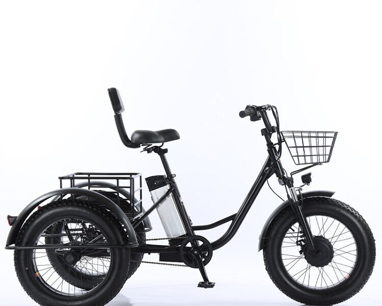 Factory Price 20 Inch 48v Adult Electric Tricycle 3 Wheel Fat Tire Trike for Transportation