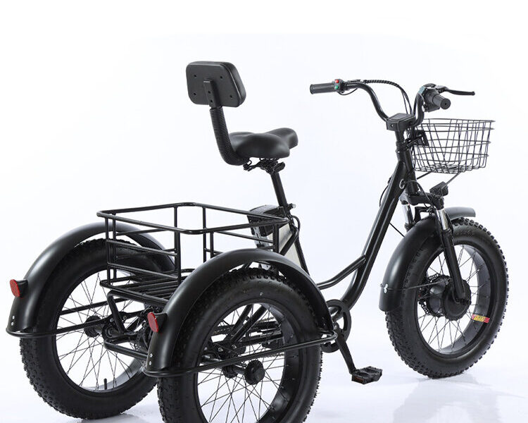 Factory Price 20 Inch 48v Adult Electric Tricycle 3 Wheel Fat Tire Trike for Transportation