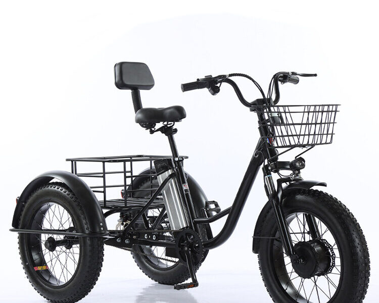 Factory Price 20 Inch 48v Adult Electric Tricycle 3 Wheel Fat Tire Trike for Transportation