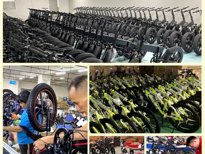 Factory Price 20 Inch 48v Adult Electric Tricycle 3 Wheel Fat Tire Trike for Transportation