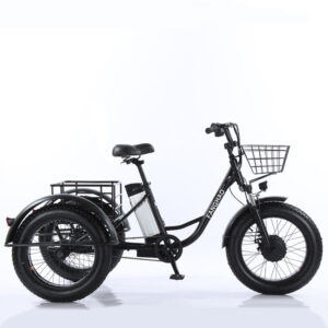 Factory Price 20 Inch 48v Adult Electric Tricycle 3 Wheel Fat Tire Trike for Transportation