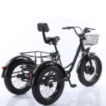 Factory Price 20 Inch 48v Adult Electric Tricycle 3 Wheel Fat Tire Trike for Transportation - image 3