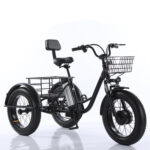 Factory Price 20 Inch 48v Adult Electric Tricycle 3 Wheel Fat Tire Trike for Transportation - image 4