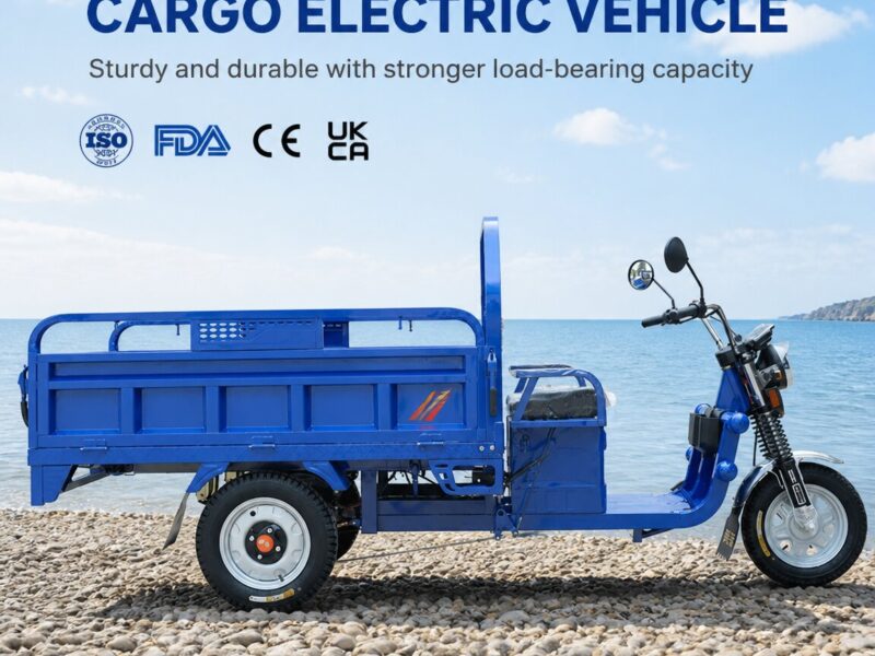 Custom Electric Cargo Tricycle 1000W Power 60V Voltage Iron Steel Cargo Trike Electric Tricycle