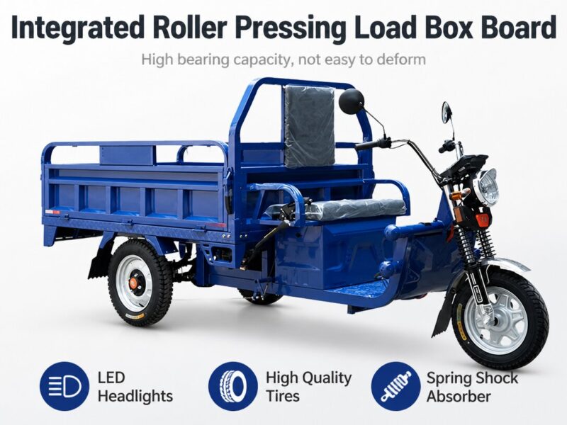 Factory Price 3 Wheel Electric Tricycle Cargo Bike 1000w Electric Cargo Tricycle