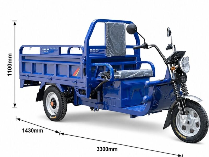 Factory Price 3 Wheel Electric Tricycle Cargo Bike 1000w Electric Cargo Tricycle