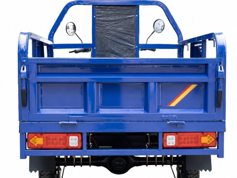 Custom Electric Cargo Tricycle 1000W Power 60V Voltage Iron Steel Cargo Trike Electric Tricycle