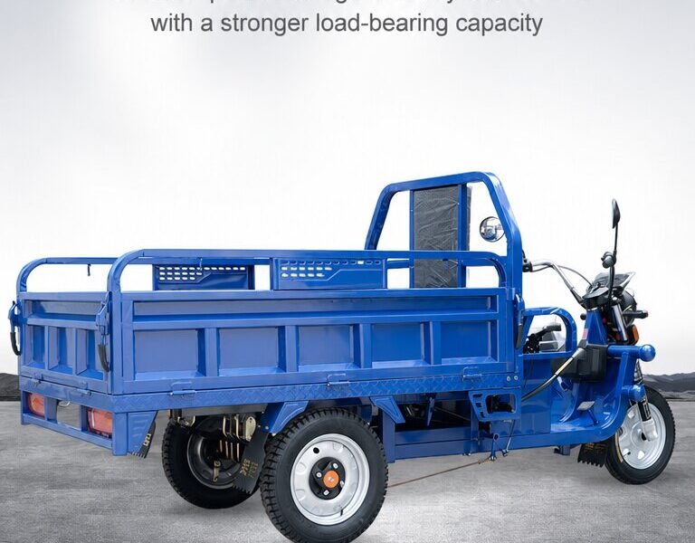 Factory Price 3 Wheel Electric Tricycle Cargo Bike 1000w Electric Cargo Tricycle